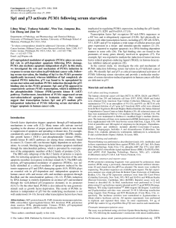 Sp1 and p73 activate PUMA following serum