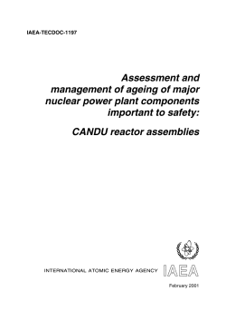 Assessment and management of ageing of major nuclear power