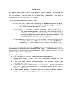 Foaling Mares As a new year begins, one of the things that we begin