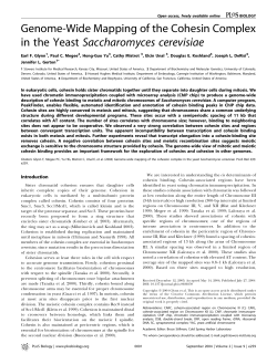 Genome-Wide Mapping of the Cohesin Complex in