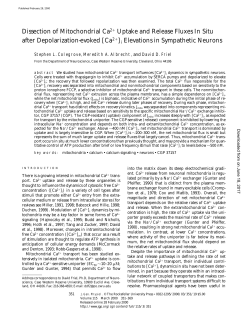Dissection of Mitochondrial Ca2+ Uptake and Release Fluxes In Situ