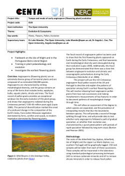 Tempo and mode of early angiosperm (flowering plant) evolution