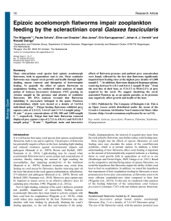 Epizoic acoelomorph flatworms impair zooplankton