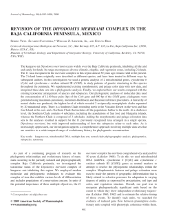 revision of the dipodomys merriami complex in the baja california