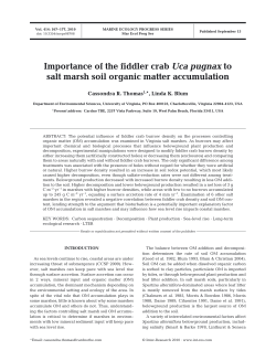 Importance of the fiddler crab Uca pugnax to salt marsh soil organic