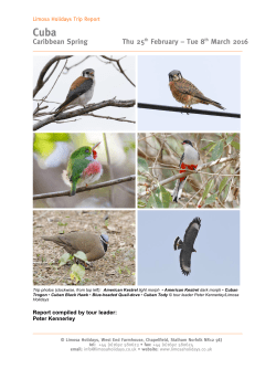 Thu 25th February &ndash; Tue 8th March 2016