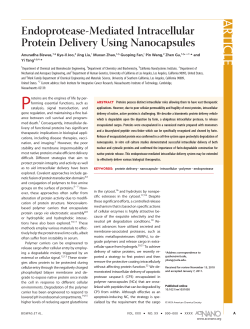 Endoprotease-Mediated Intracellular Protein Delivery Using