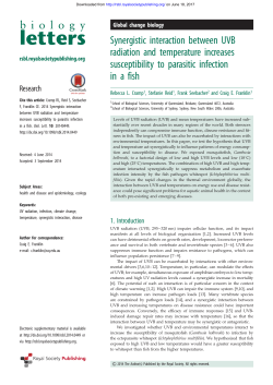 Synergistic interaction between UVB radiation and