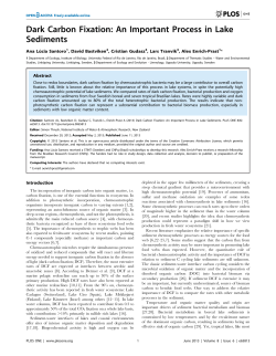 Dark Carbon Fixation: An Important Process in Lake Sediments