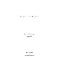 ENST 480 Final Paper Spring 2008