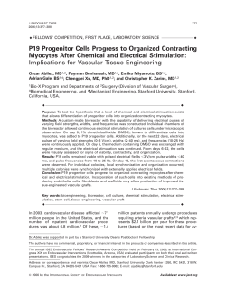 P19 Progenitor Cells Progress to Organized