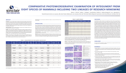 discussion conclusion references abstract