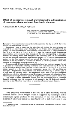 Effect of conceptus removal and intrauterine administration of