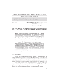 distribution of heterobasidion genets on a norway spruce
