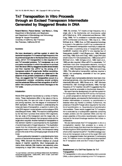 Tn7 Transposition In Vitro Proceeds through an Excised Transposon