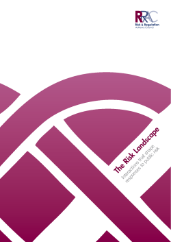 The Risk Landscape Interactions that shape responses to public risk