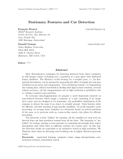 Stationary Features and Cat Detection