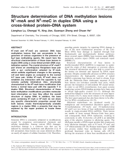 meC in duplex DNA using a cross-linked protein