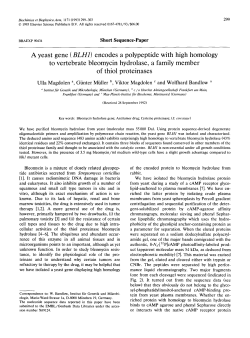A yeast gene (BLH1) encodes a polypeptide with high homology to