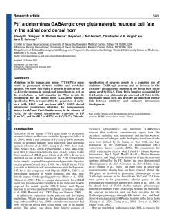 Ptf1a determines GABAergic over glutamatergic