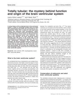 Totally tubular: the mystery behind function and origin of the brain