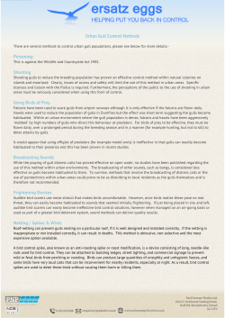 Urban Gull Control Methods Poisoning: Shooting Using Birds of