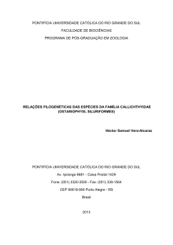 PhD dissertation