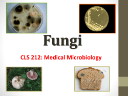 CLS 212: Medical Microbiology