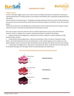 teachers fact sheet - Julian Burton Burns Trust