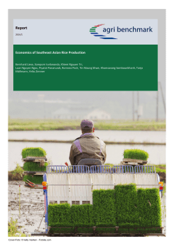 Economics of Southeast Asian Rice Production