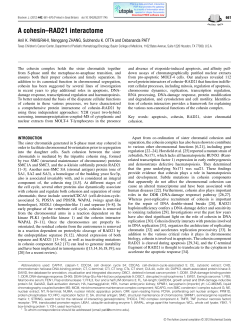 A cohesin&ndash;RAD21 interactome