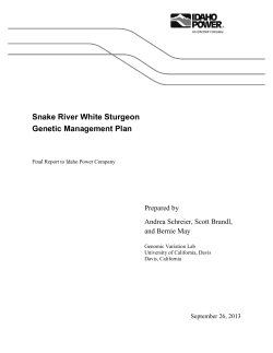 Snake River White Sturgeon Genetic Management Plan