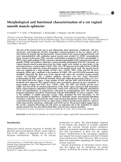 Morphological and functional characterization of a rat