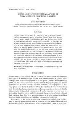 MICRO- AND ULTRASTRUCTURAL ASPECTS OF NORWAY