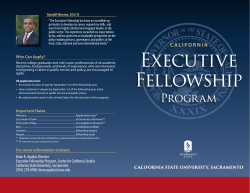 Executive Fellowship