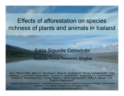 Effects of afforestation on species richness of plants and animals in