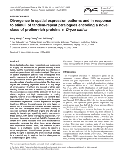 Divergence in spatial expression patterns and in response to stimuli