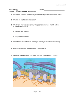 Page 1 of 4 MCC Biology Name Chapter 7 Guided Reading