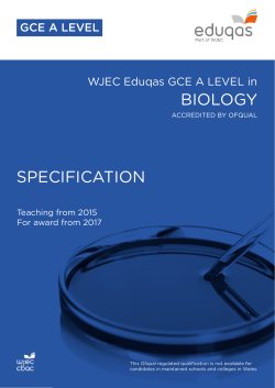 A level specification template