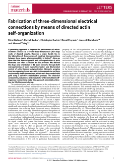 Publication - Cytomorpholab