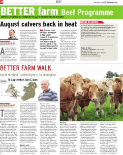 BETTER farm Beef Programme