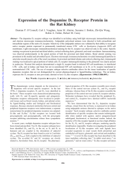 Expression of the Dopamine D3 Receptor Protein in