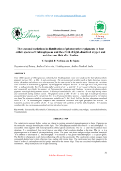 The seasonal variations in distribution of photosynthetic pigments in