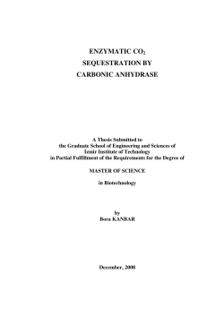 ENZYMATIC CO2 SEQUESTRATION BY CARBONIC ANHYDRASE
