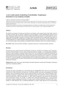 A new cryptic species of glassfrog (Centrolenidae: Nymphargus