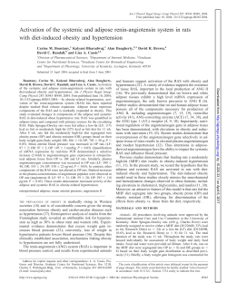 Activation of the systemic and adipose renin