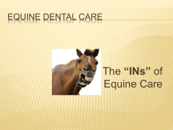 Equine DENTal Care