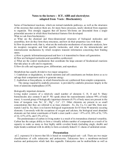 Notes to the lecture : ICT, ABB and equilibrium
