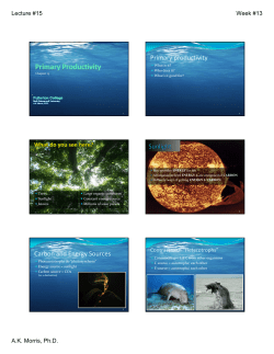 Primary productivity Carbon and Energy Sources