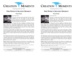 Moon Puzzle - Creation Moments